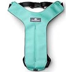 Sleepypod CS-ROB-L Clickit Sport, Robin Egg Blue