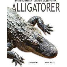 Bøger Alligatorer Børnebog hardcover