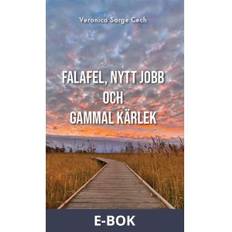 Falafel, nytt jobb och gammal kärlek (E-bok)