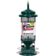The Squirrel Buster Bird Feeder