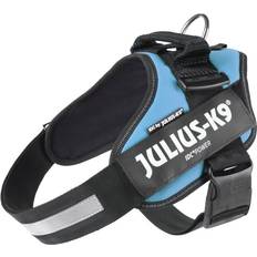 Julius-K9 Pets Julius-K9 IDc Powerharness, Aquamarine