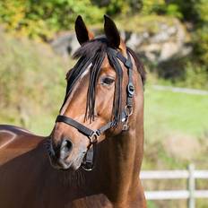 Polyester Horse Bonnets Horze Fliegenstirnband für Pferde nylon Noir