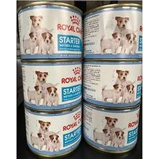 Royal Canin CANIN Starter Mousse, Mother Dog Food Cans