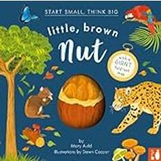 Little, Brown Nut: A fact-filled picture book about the life cycle of the Brazil nut tree, with fold-out map of the Amazon rainforest ages 4-8 2 (Inbunden)