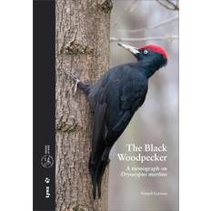 The Black Woodpecker