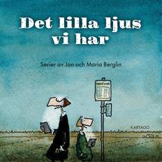 Det lilla ljus vi har (E-bok)