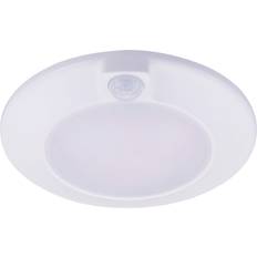 Cloudy Bay Motion Sensor Ceiling Flush Light