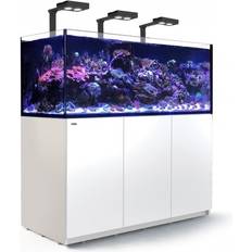Red Sea Deluxe XXL 625 Complete Meerwasser-Aquarium