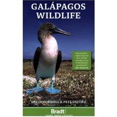 Galapagos Wildlife