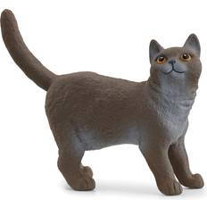 Katter Figuriner Schleich Brittiskt Korthår Farm World 13973