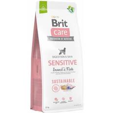 Care Dog Sustainable Sensitive Insect