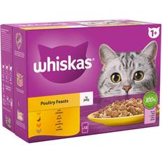 Whiskas Cat Pets Whiskas 1+ Pouches in Jelly