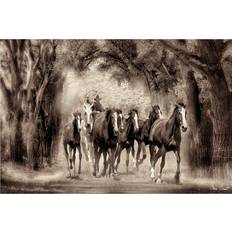 Cotton Framed Art Brambly Cottage The Chase II David Drost Graphic Framed Art
