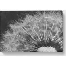 East Urban Home Dandelion Seed Sketch Grey/Black Wall Decor 60x40cm