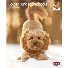 Golden Kalender Trixie Kalender, Kalender Golden- Labradoodle