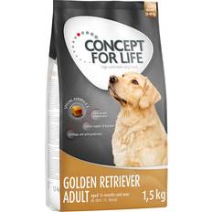 Huisdieren Concept for Life Golden Retriever Adult 4