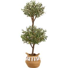 Cotton Decorative Items Nearly Natural T3495 4.5 Olive Double Topiary & 5 Bougainvillea Tree Artificial Plant