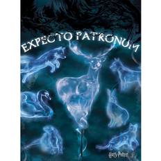 Harry Potter Expecto Patronum Canvas Print