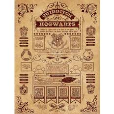 Harry Potter Quidditch Canvas Print