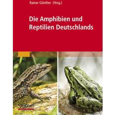 Die Amphibien Und Reptilien Deutschlands 9783827423221 (Hæftet)