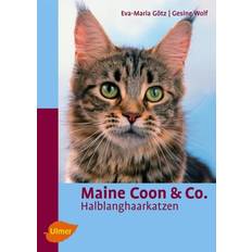 Maine Coon & Co (Gebunden)