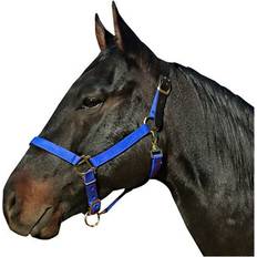 Blue Horse Halters Leather Crown Nylon Breakaway Halter Blue Oversize