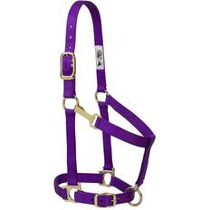 Horse Halters Weaver Basic Adj Halter w/Snap Purple