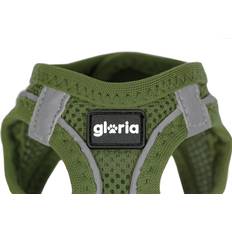 Animali domestici Gloria Harness 41,4-43 Green S