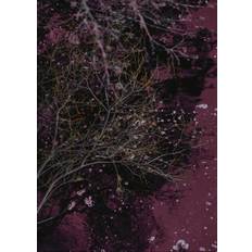 Malerifabrikken River of wine Röd 30X40 Poster