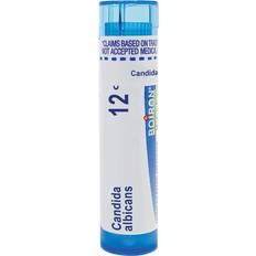 Intimate Products Medicines Candida Albicans 12C for Symptoms Yeast