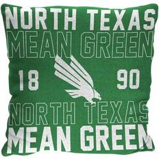 The Northwest Group COL 130 Texas Complete Decoration Pillows Green