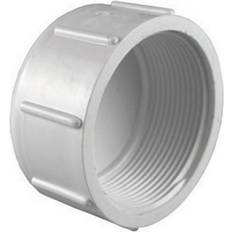 Charlotte Pipe Charlotte Pipe & Found PVC 02117 1800 Sch 40 Pvc Cap 2 White