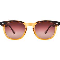 Polar Sunglasses Rectangle Shiny Crystal Honey Havana Brown