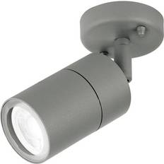 Aurora Aurora EN-WL1G Single Wall light