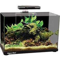 Aqua One Focus 36 Glass Aquarium 36L 50x25x36cm