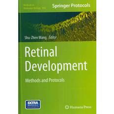 Retinal Development (Gebunden, 2012)