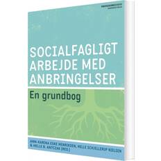 Socialfagligt arbejde med anbringelser Ann-Karina Henriksen