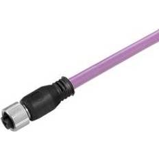 Weidmüller – Kabel Bus sail-m12bg-pb-10d Magenta