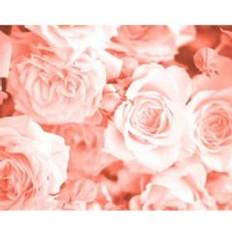 Orange Vægdekorationer Origin Murals Origin Murals Petals Peach Mural 3 Wall Decor