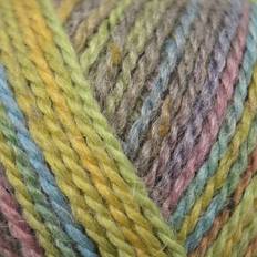 Yarn & Needlework Supplies King Cole Homespun Prism DK Summer Meadow 5181