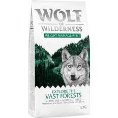 Wolf of Wilderness Explore The Vast Forests Weight Management
