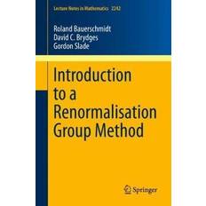 Introduction to a Renormalisation Group Method: 2242 (Lecture Notes in Mathematics, 2242) Paperback (Paperback, 2019)