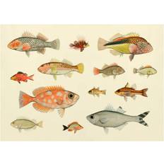 The Dybdahl Co Fishes #3904H Affisch
