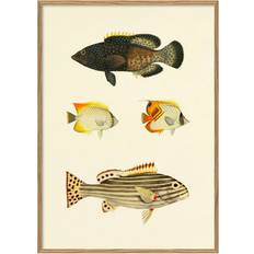 The Dybdahl Co The Dybdahl Co Fishes #3914P Poster