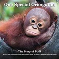 One Special Orangutan: The Story of Budi