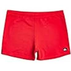 Men - Silver Swimwear Quiksilver Everyday Swimmer Badehose für Männer