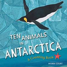 Books Ten Animals in Antarctica: A Counting Book