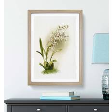 East Urban Home Magnolia Flowers White/Green/Grey Framed Art 50x76cm