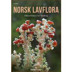 Bøker Norsk lavflora (Heftet)