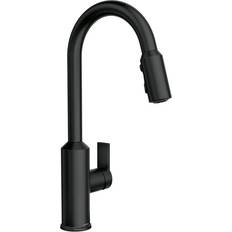 Moen Single-Handle Sprayer Black